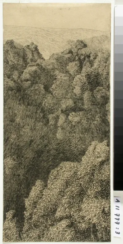 Metsäinen vuorenrinne Umbriassa