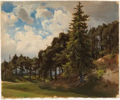 Metsäinen vuorenrinne