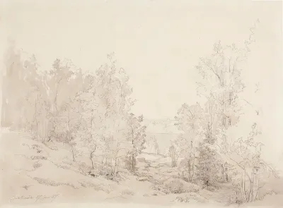 Metsämaisema, Juhtimäki