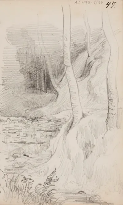 Metsämaisema