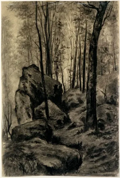 Metsänsisusta