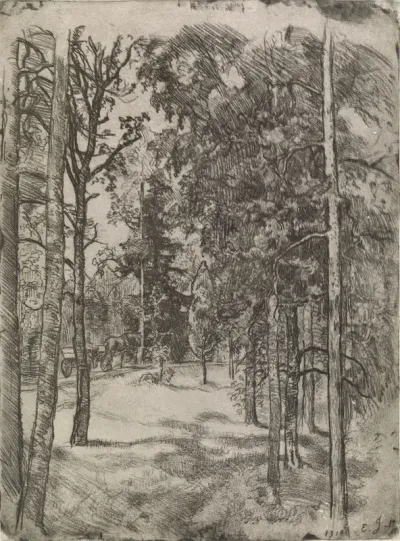 Metsänsisusta