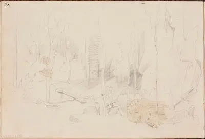 Metsänsisusta, halkopinot