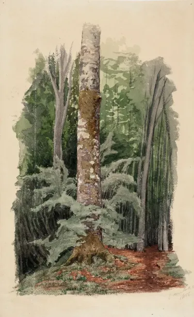 Metsänsisustaa, keskellä lehtipuun runko