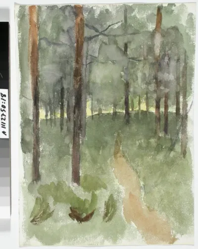 Metsäpolku
