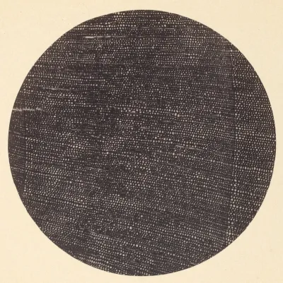 Microphotograph of Traverse Section of Wood (Salisburia)