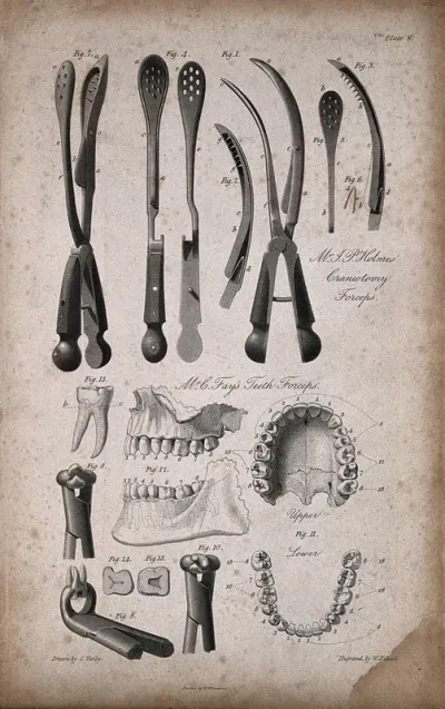 Midwifery and other instruments, including forceps and pliers