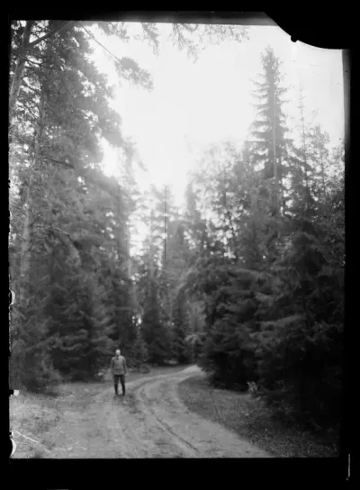 Mies metsätiellä