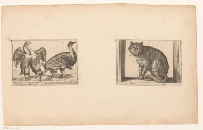 Misvormde ganzen en een kat