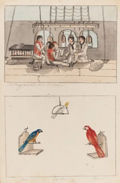 Mittagsmahl der Matrasen - tra. Cacadu. Tra