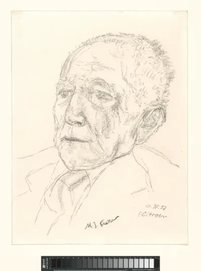 M.J. Friedländer