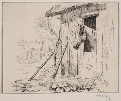 Møllehesten