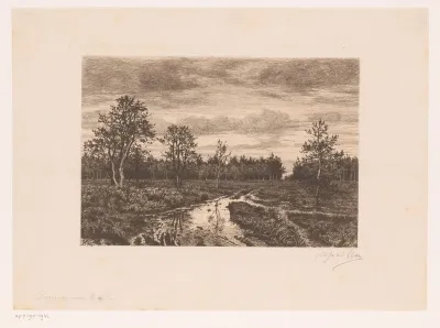 Moeraslandschap bij schemering
