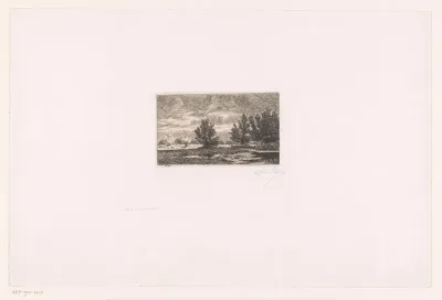 Moeraslandschap