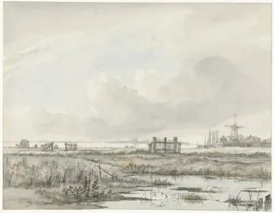 Moerassig landschap buiten een stad