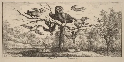 Monedula, The Owl