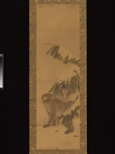 Monkeys
