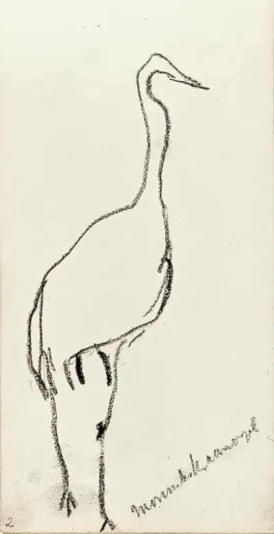 Monnikskraanvogel