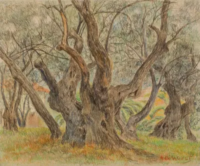 Monsterachtige olijfboom