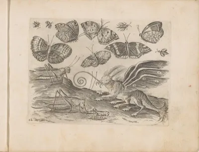 Monsterinsect, sprinkhanen en vlinders