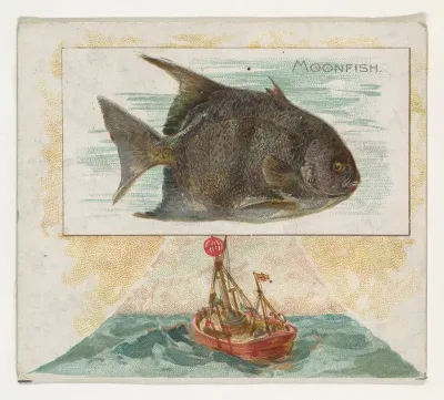 Moonfish, from Fish from American Waters series (N39) for Allen & Ginter Cigarettes