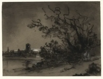 Moonlight Scene