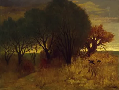 Moorlandschaft