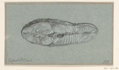 Moot gekookte zalm