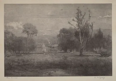 Morning