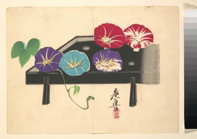 Morning Glories