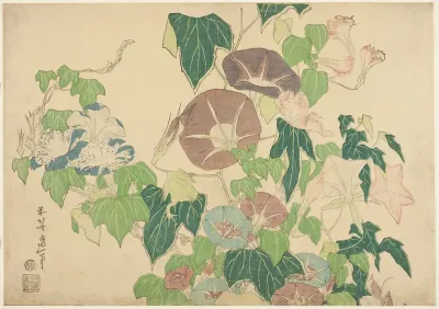 Morning Glories and Tree-frog, from an untitled series of Large Flowers