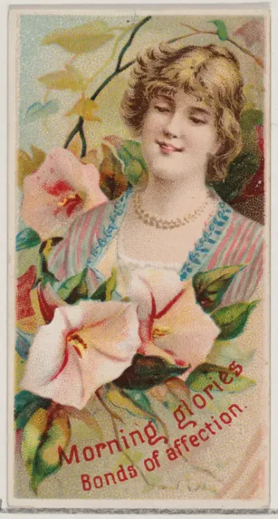 Morning Glories: Bonds of Affection, from the series Floral Beauties and Language of Flowers (N75) for Duke brand cigarettes