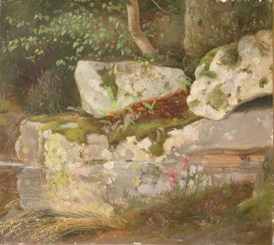 Moss-covered stones reflected in a stream.