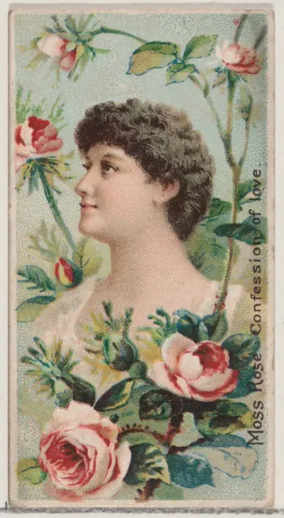 Moss Rose: Confession of Love, from the series Floral Beauties and Language of Flowers (N75) for Duke brand cigarettes