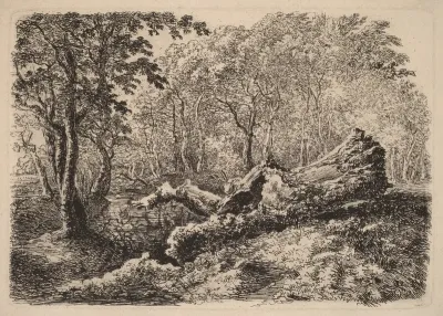 Mouldering Tree Trunk