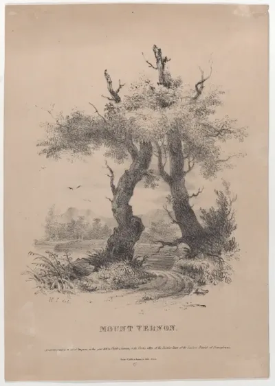 Mount Vernon with hidden silhouette of George Washington