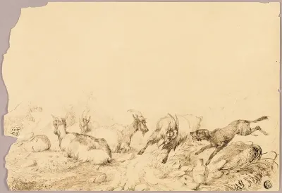 Mountain Goats and Dog