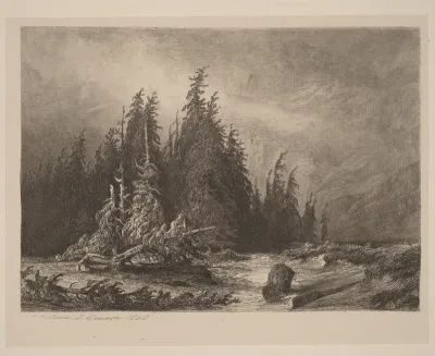 Mountain PInes