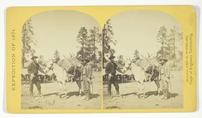 Mountain transportation. Pack mule, Pack and Packers, No. 7 from the series "Geographical Explorations and Surveys West of the 100th Meridian"