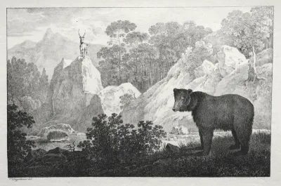 Mountainous Landscape with Bear in the Foreground