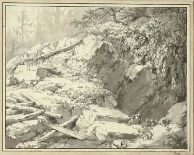 Mountainside with Fallen Tree