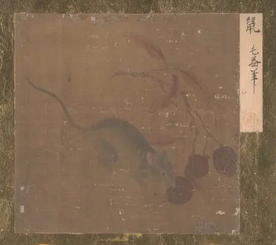 Mouse Eating Lichee Fruit
