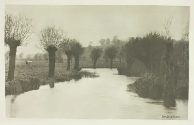 Mouth of the River Ash