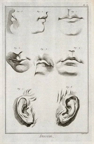 Mouths and ears