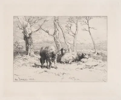 Moutons