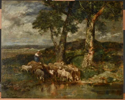 Moutons à l'abreuvoir