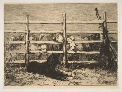 Moutons Parqués