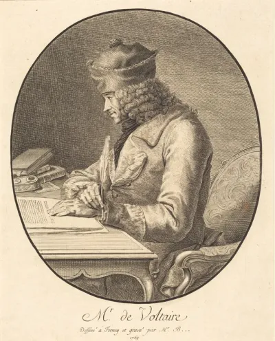 Mr. de Voltaire