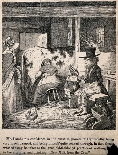 Mr. Lambkin ill trying the recuperative powers of walking and drinking fresh milk. Lithograph by G. Cruikshank