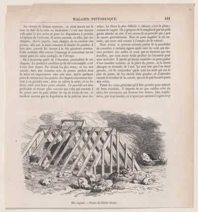 Mue anglaise, from "Le Magasin Pittoresque"